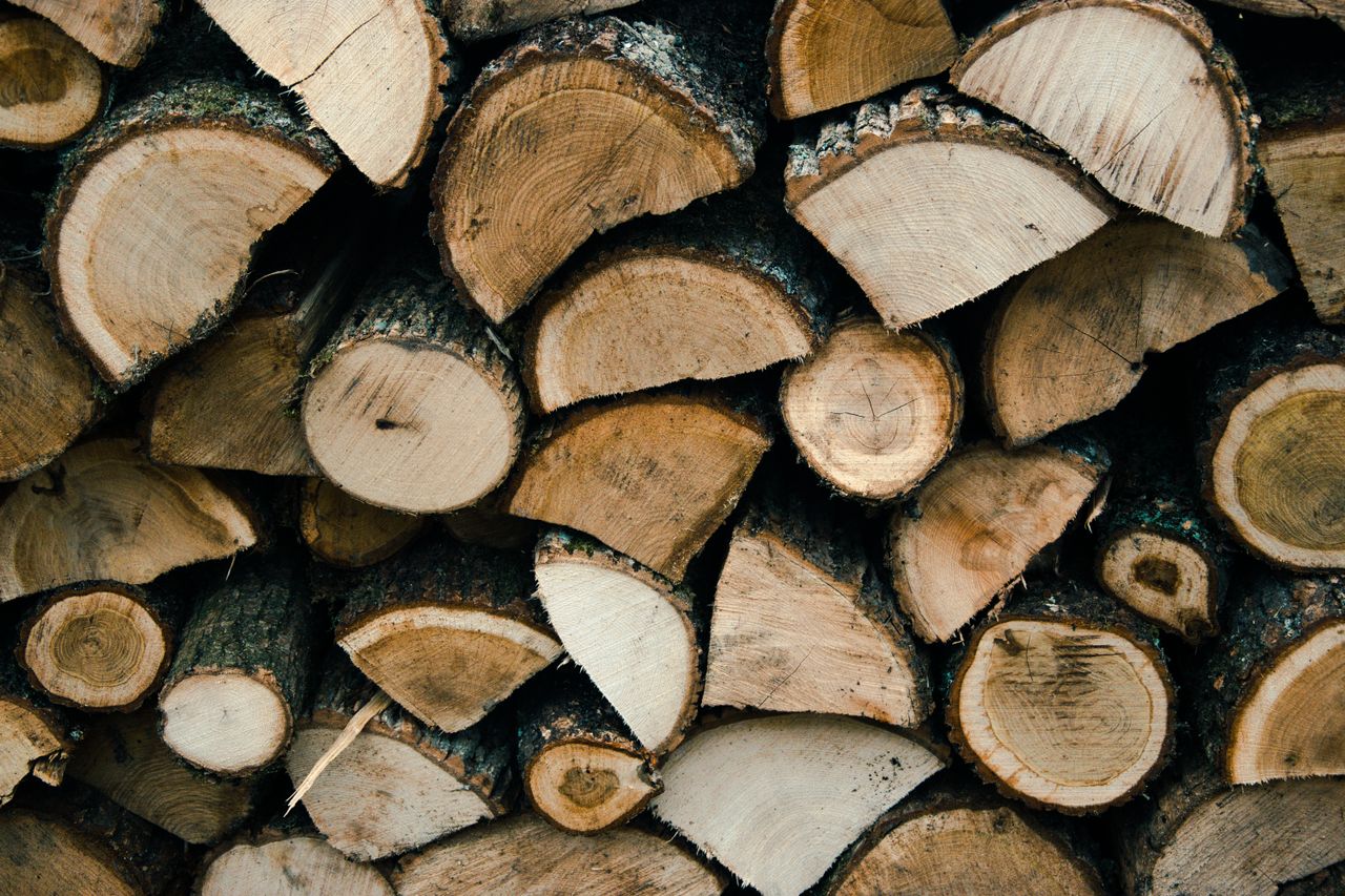 What to Look for When Ordering a Load of Firewood in Somerset West